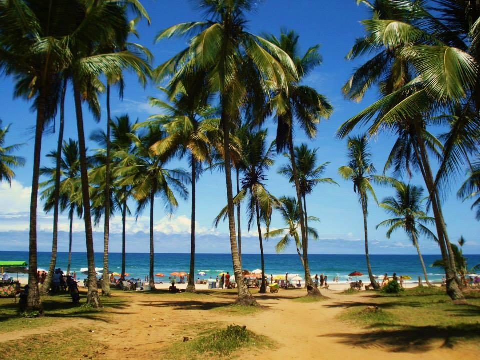 Itacaré A Bananeira Azul Hostel المظهر الخارجي الصورة